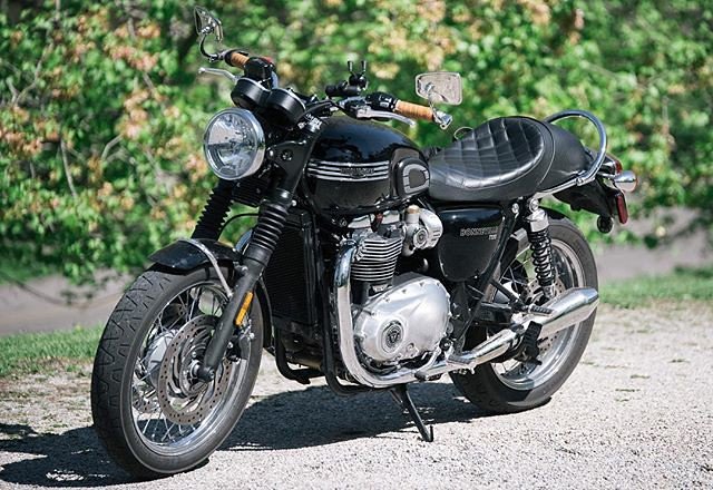 4. Triumphs and Tragedies: The Hurdles and Legacy of