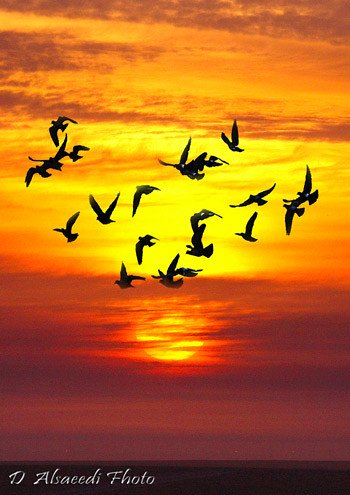 1. Unleashing the Anarchy: ' Explosive Debut and Controversial Legacy