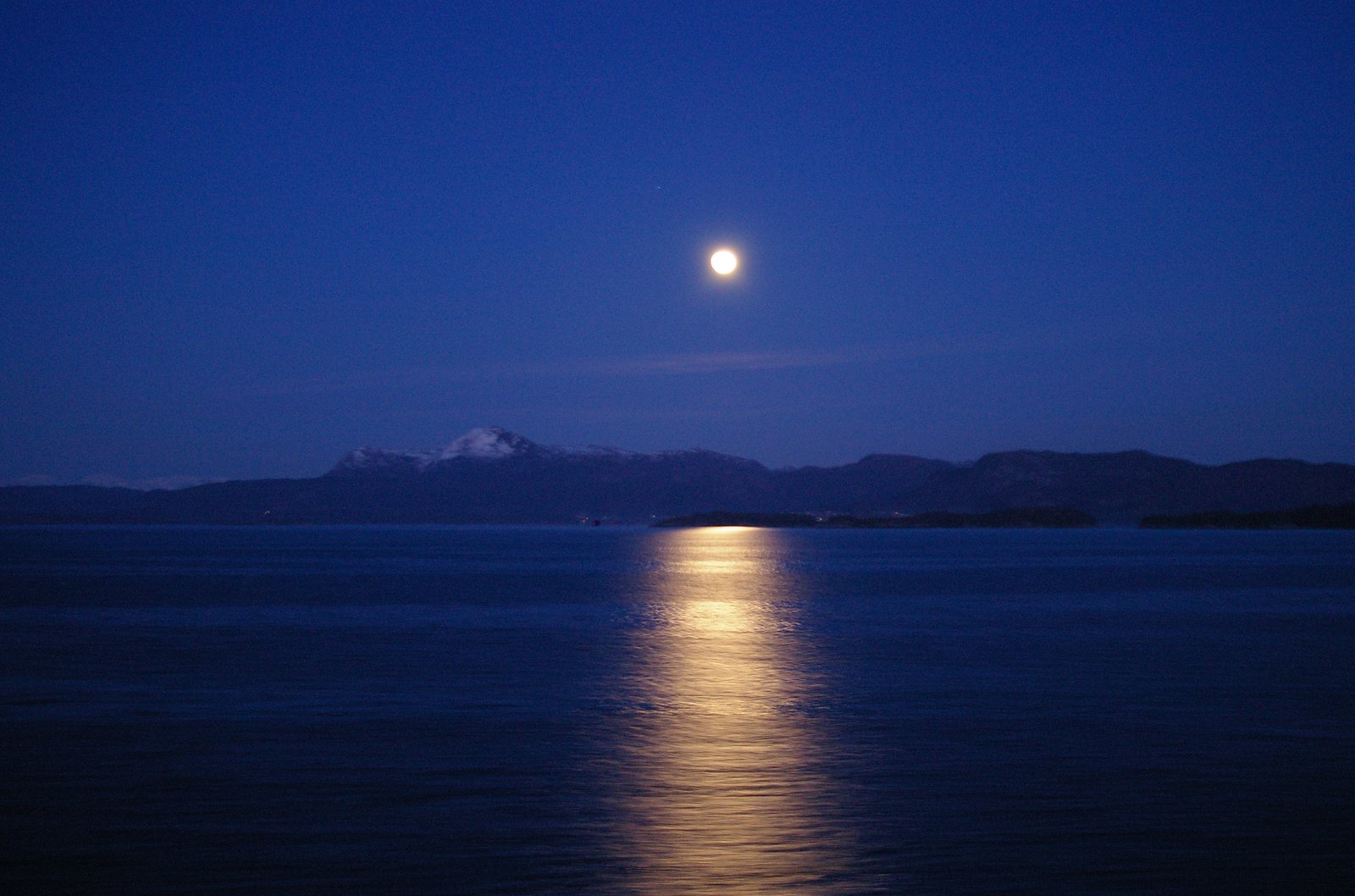 2. A Tender Journey of Self-Discovery: Unraveling the Enigmatic Charms of 