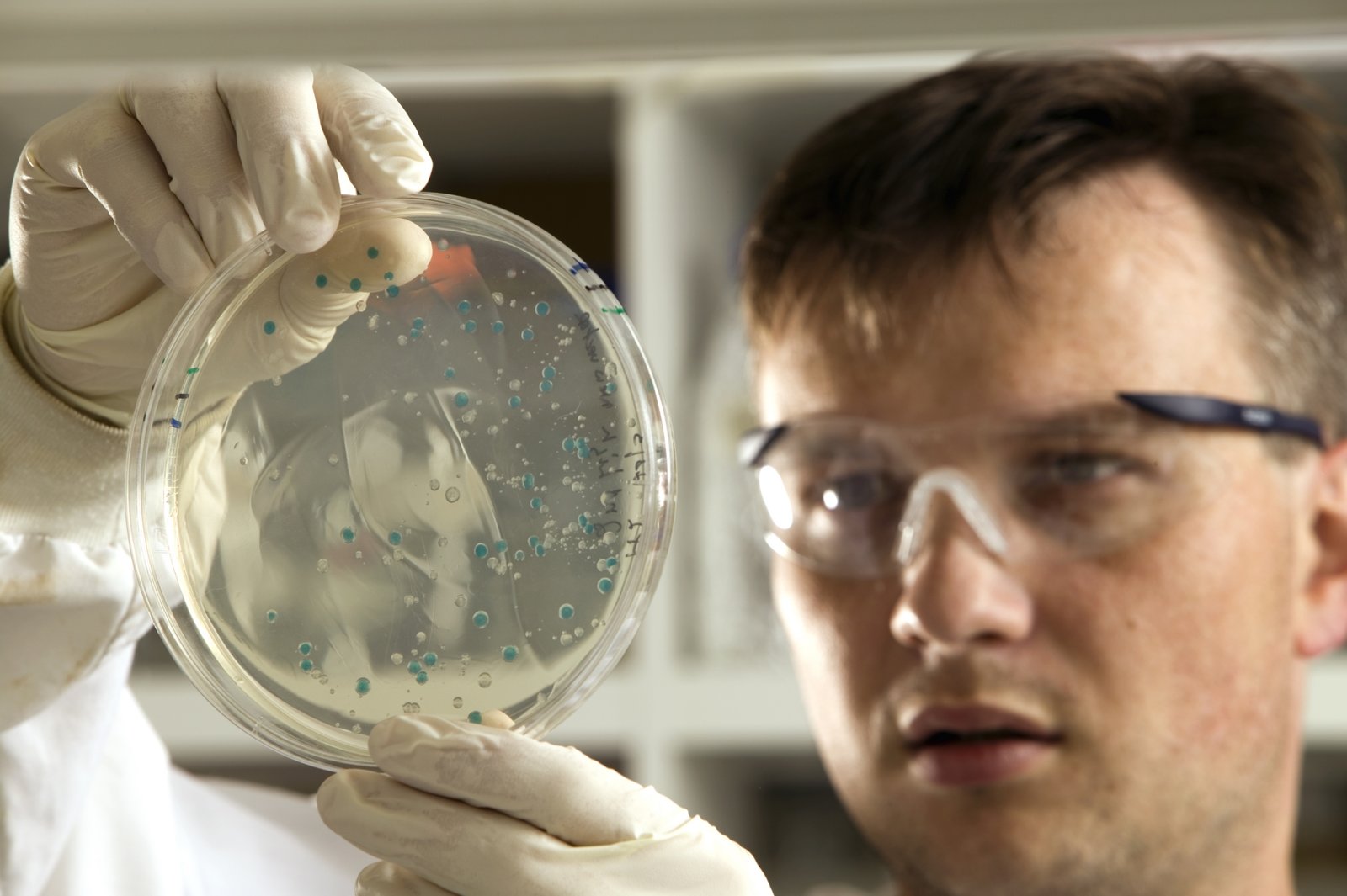 Examining the Impact of Europe's Refugee Crisis on Social Dynamics and National Security