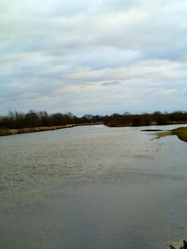 1. The Illustrious Rise: 's Journey from Glam Metal Sensations to Cult Icons