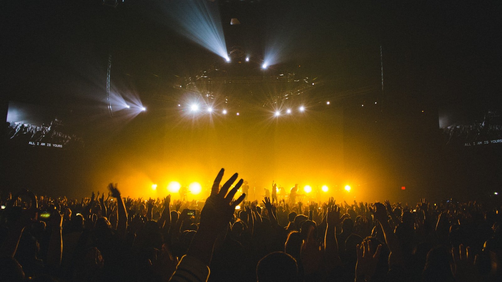 4. Jam-packed with musical gems: Don't miss these hand-picked recommendations from Emp3 World's vast archive