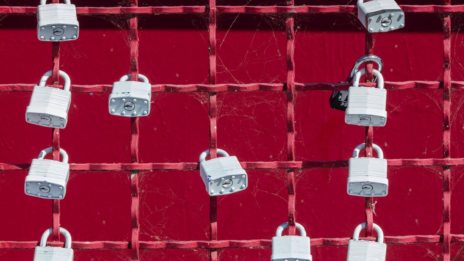 Unlock Your Inner Red Pill: Why 