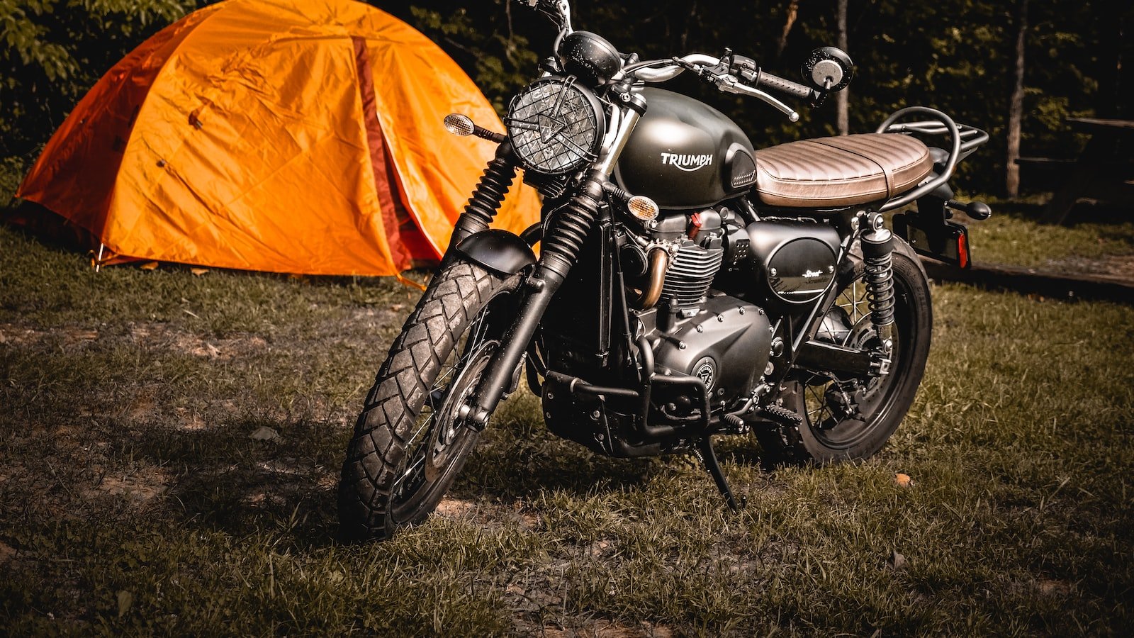 3. Triumphs, Turmoil, and Transformation: 's Journey Through Adversity