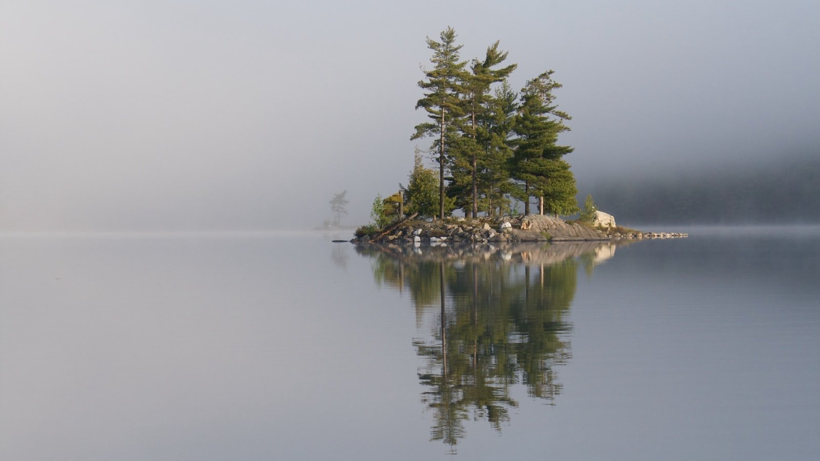 Land Down Under Jams: Freebies to Groove and Move