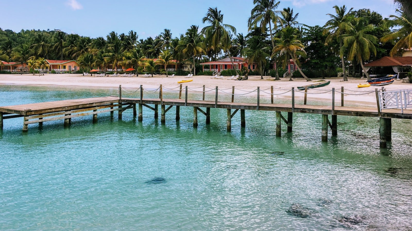 The Impact of the Haiti Earthquake: A Devastating Catastrophe that Shook the Nation