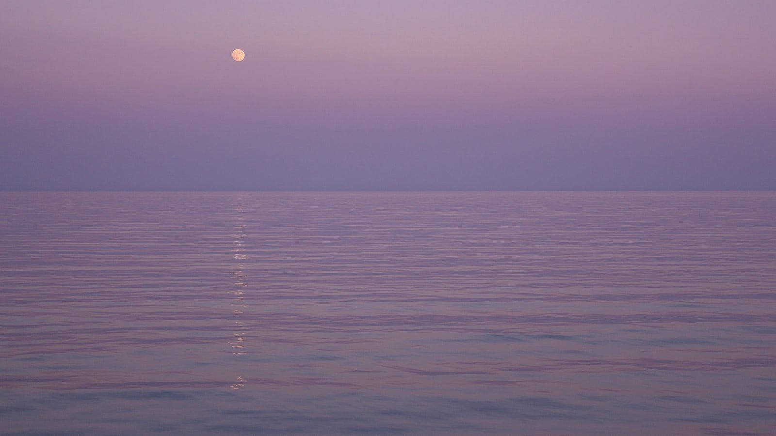 4. Moonwalking through Controversy: Examining 's Legacy Amidst Legal Battles and Personal Struggles