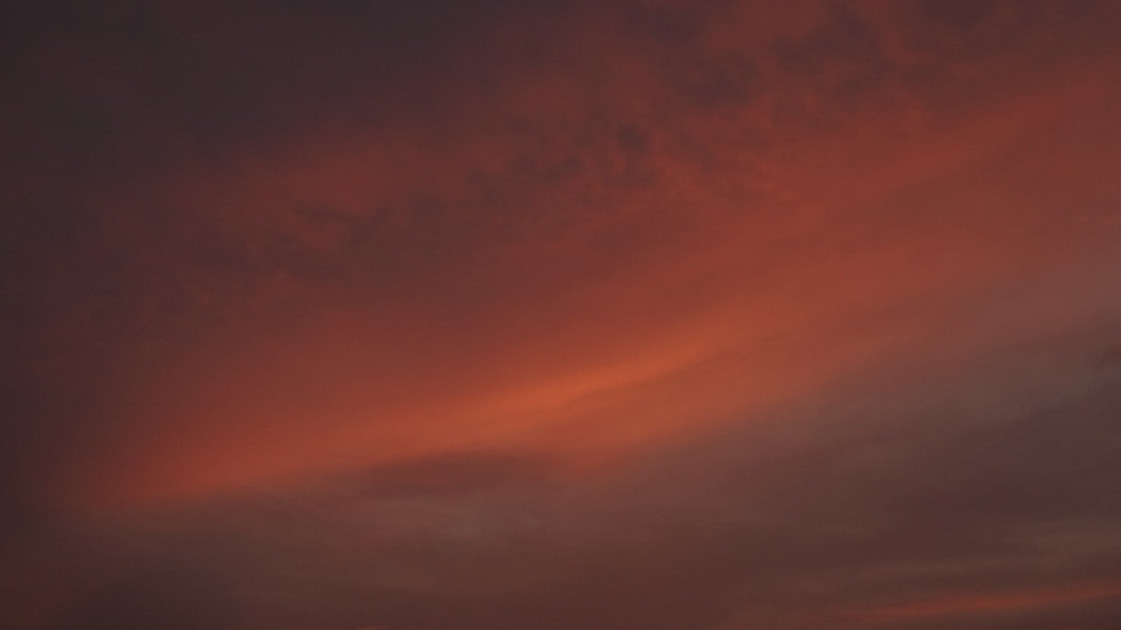 3. Unforgettable Concerts and Iconic Performances: 's Live Legacy