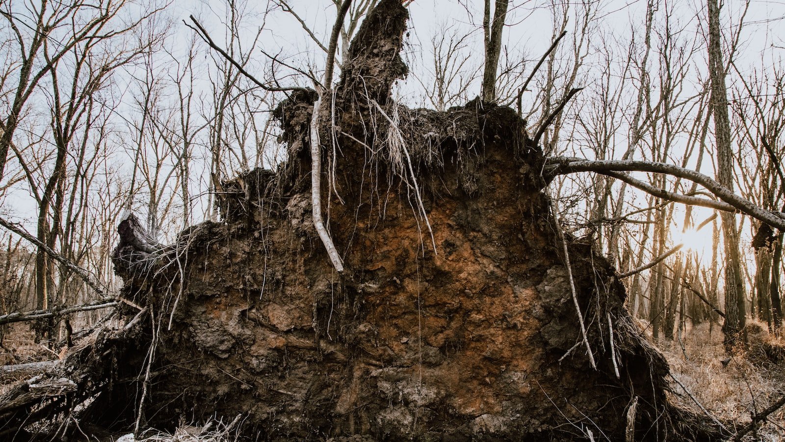 Unearthing the Flaws in Europe's Response: Lessons Learned and Recommendations for Future Crisis Management