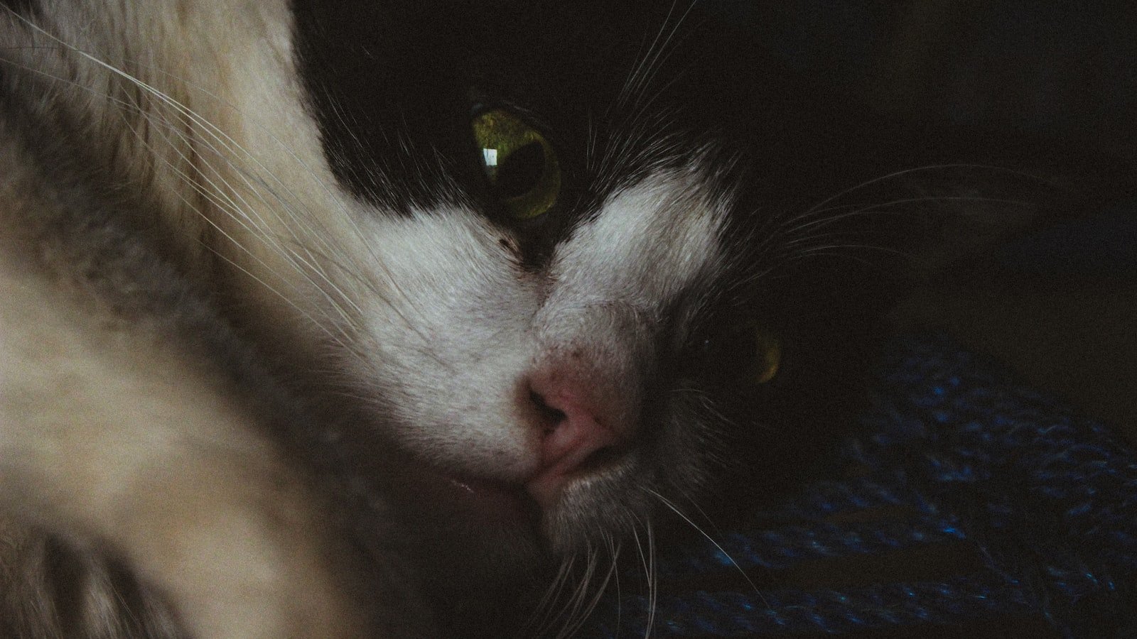 A New Sudan: Navigating the Path Towards Lasting Peace and Prosperity