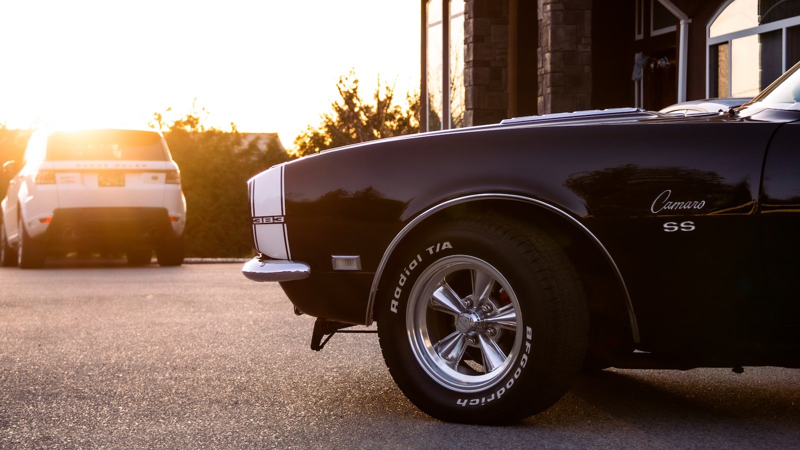 From Classics to Jams: Diversify Your Playlist with Music Downloads