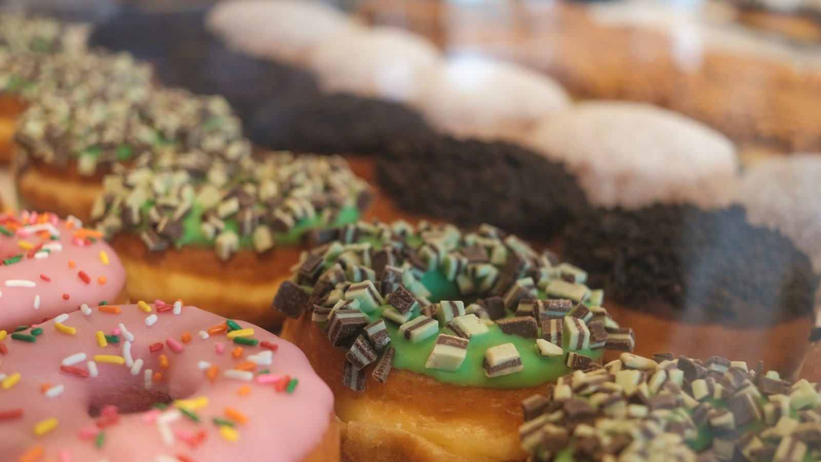 The Rise of : From Local Gigs to International Stardom