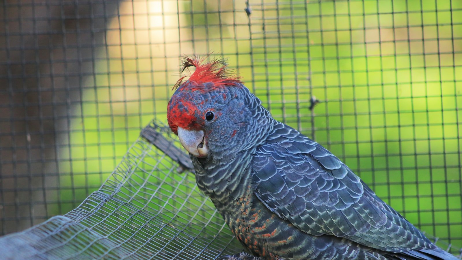 2. Tearing Up the Dance Floor: 's Electrifying Live Performances ⁣and Lasting Impact on ‍the ⁣Club Scene