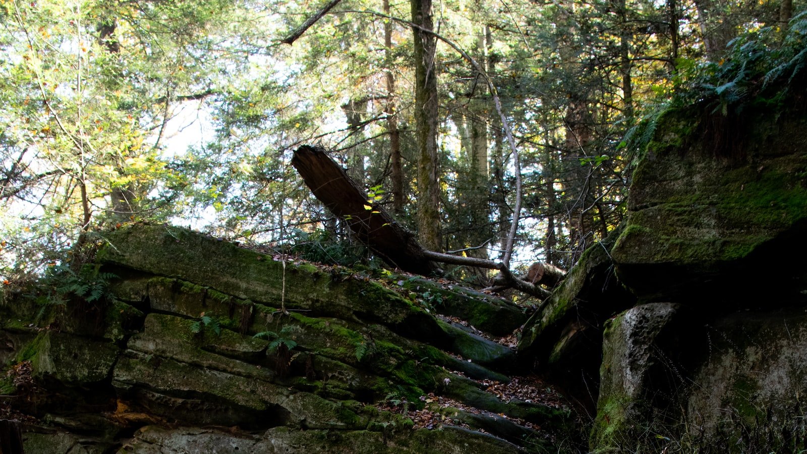 1. Discover the Musical Escape: Defeating School Firewalls to Access Your Favorite Jams!