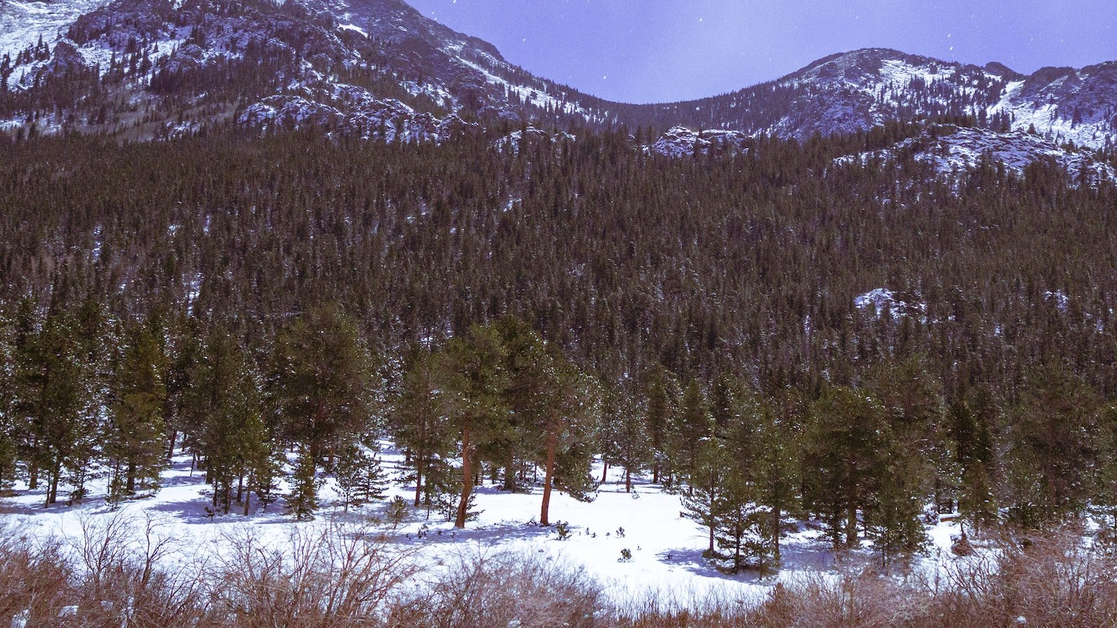 Breathtaking Action and Unforgettable Performances: Why 