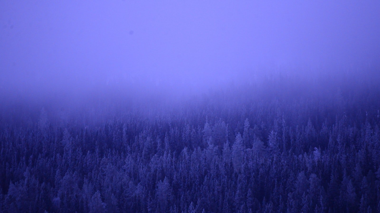 On a Roll of Pure Cinema Magic: Get Ready to Embark on an Unforgettable Adventure with Forrest Gump!