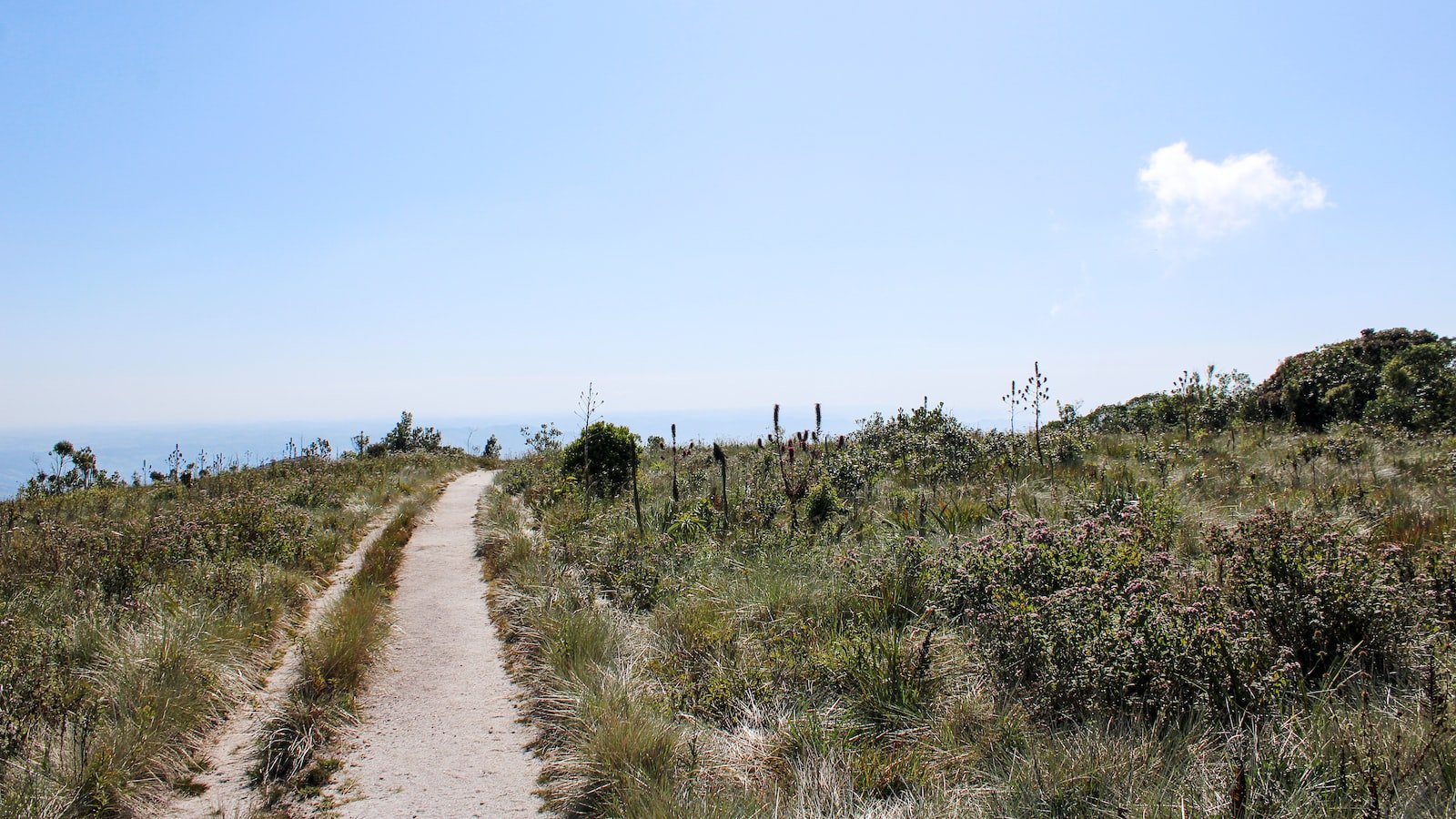 Relive the Heartwarming Moments: Why Forrest Gump Will Leave You Laughing, Crying, and Everything in Between!