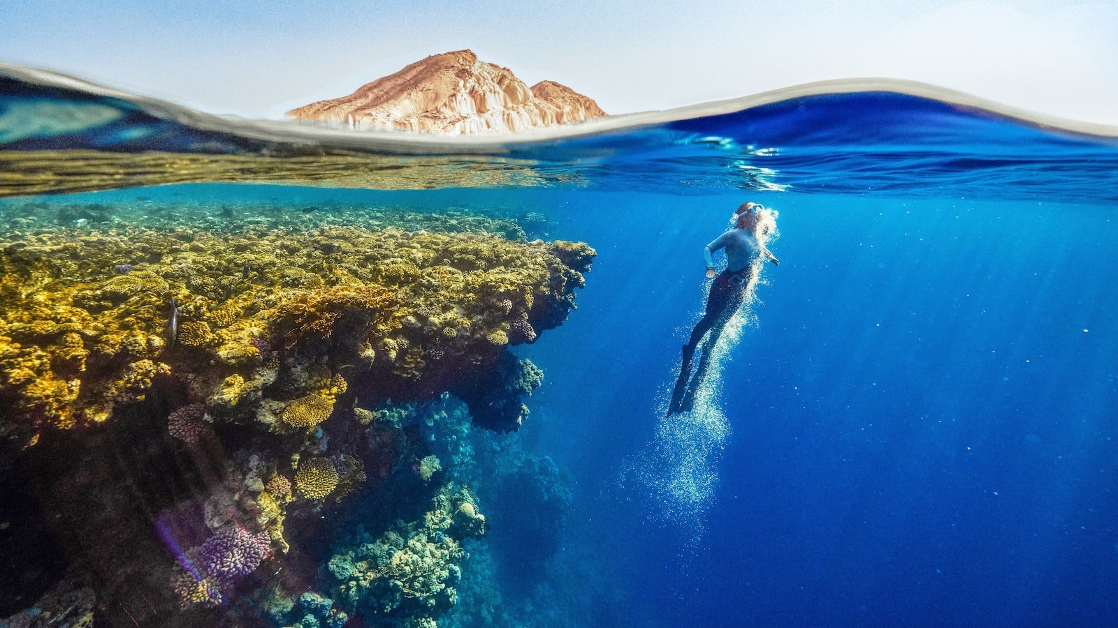 2. Exploring the Sound Paradise: How to Score Free Downloads of Your Favorite Discographies