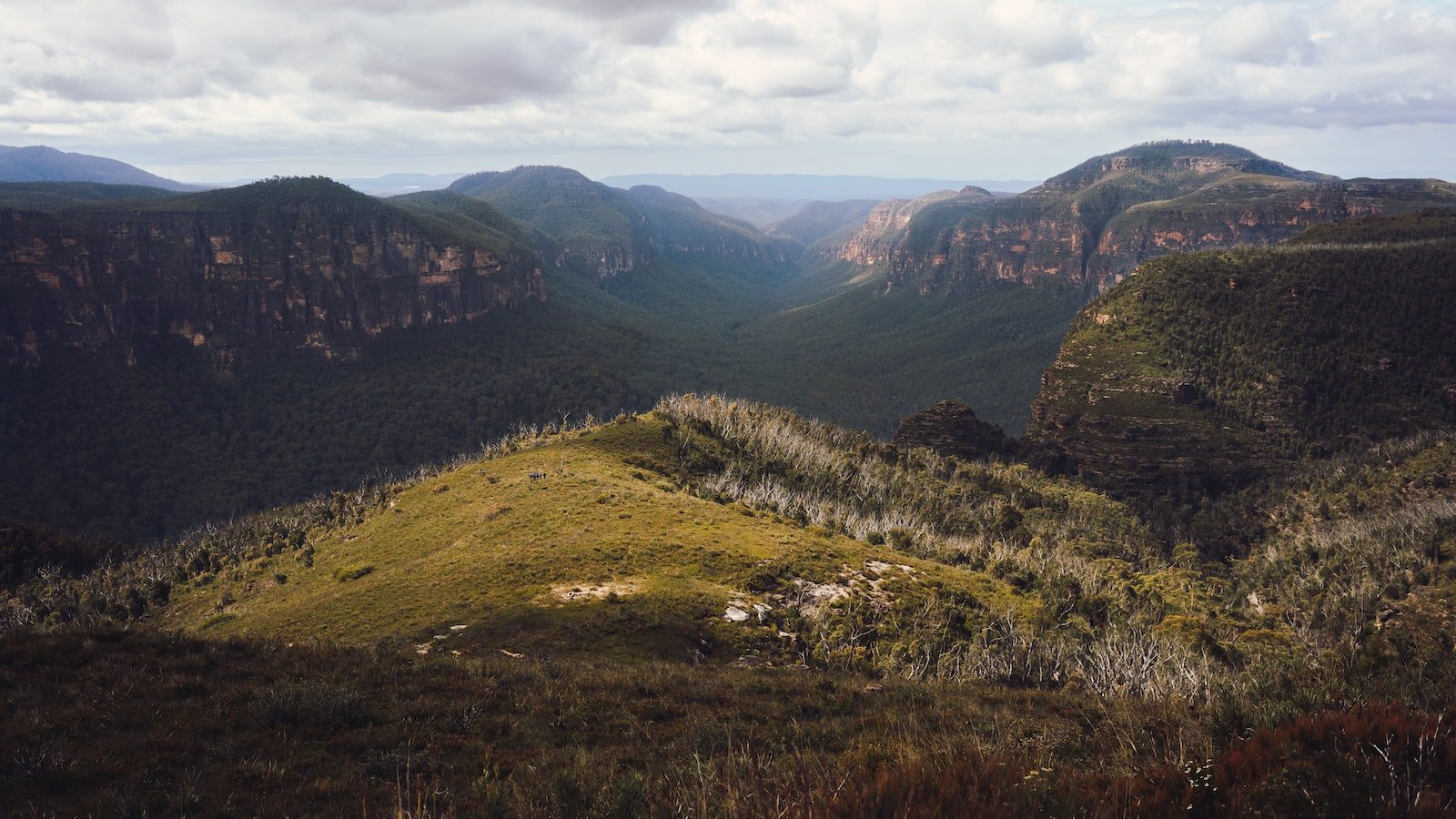 Unearthing Hidden Gems: A Curated Collection of Must-Listen Australian Artists