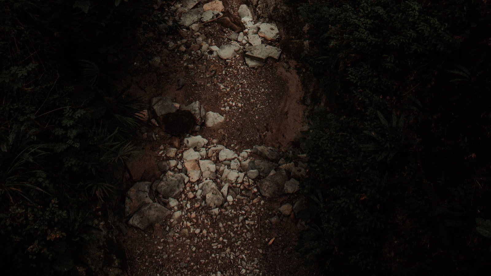 Get Your Groove On: Exploring the World of Music Downloads