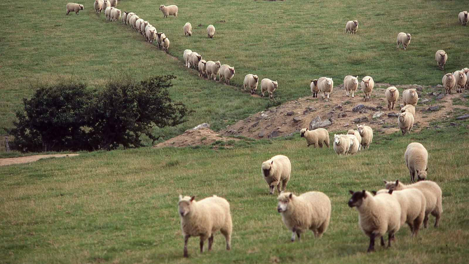 Heading 1: Assessing the Motives and Initial Justifications for U.S. Military Intervention in Afghanistan: A Critical Retrospective Analysis